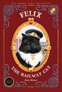 Image of Felix the rail way cat